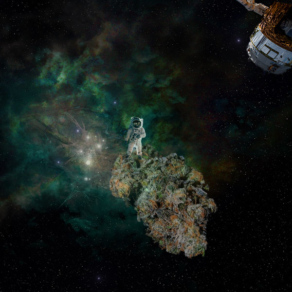 Dankstronaut Blue Dream